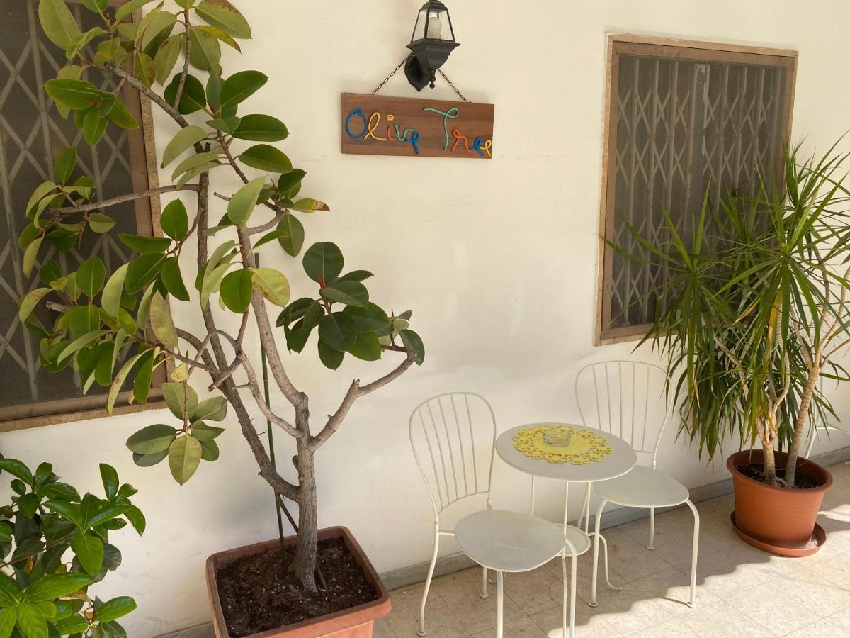 بيت شباب Olive Tree باري المظهر الخارجي الصورة